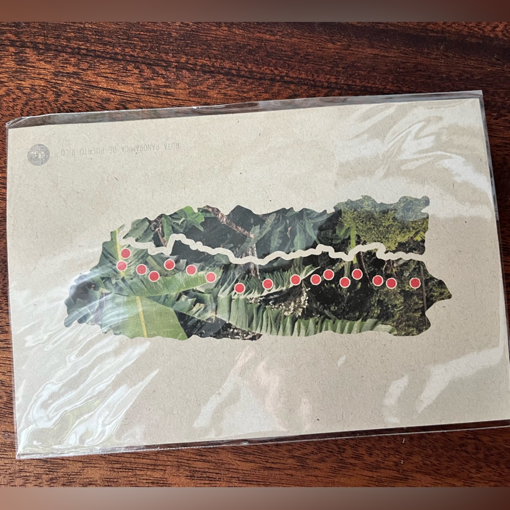 Puerto Rico Artisan Palm Map Postcard